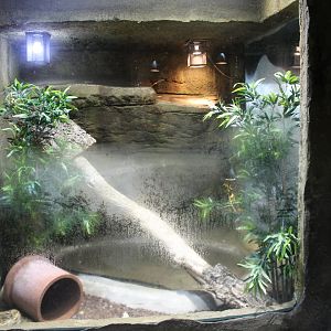 Enclosure Boa constrictor