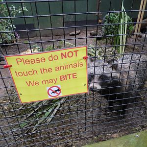 Signage on Racoon Dog Enclosure