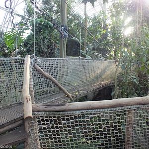 View in the Tropical/Yucatan House