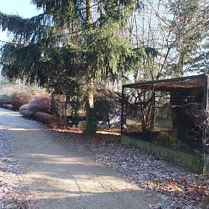 Aviaries Empty for the Winter