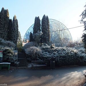 End of the Tropical/Yucatan House From Outside
