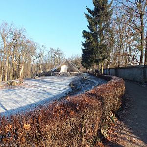 View of Outdoor Giraffe Mixed Enclosure and Giraffe House