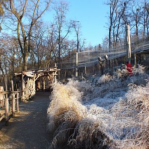 View in the Ethiopia Section