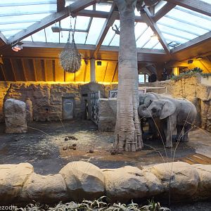 Elephant Indoor Enclosure
