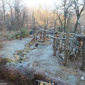 Sloth Bear Enclosure