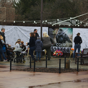 Jan. 2017 - Entrance - Commemorating Colo