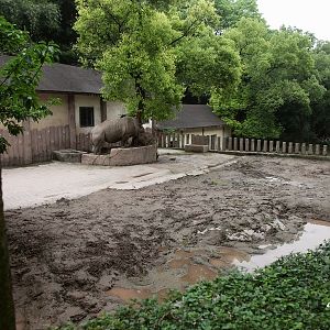 White rhinoceros exhibit