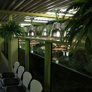 Large Turtle-enclosure