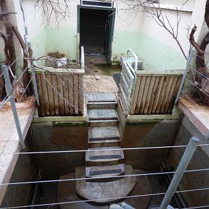 Empty Indoor Pygmy Hippo Pool