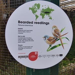 Bearded Reedlings Signage