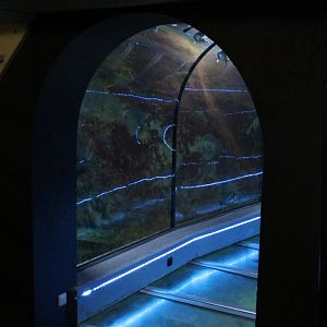 Aquarium-tunnel