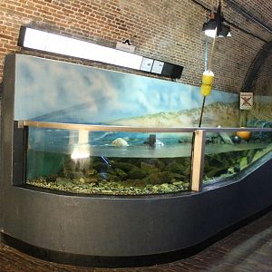Aquarium