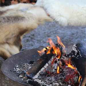 Zoo København's central heating, January 2017