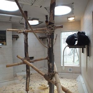 Example Indoor Primate Enclosure in the Africa Section