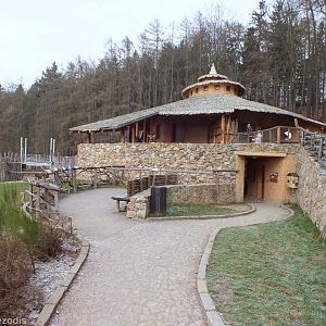 View of the Giraffe House