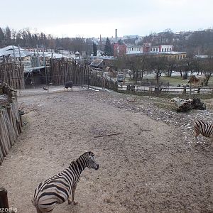 View of Part of the Africa Section