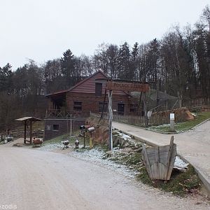 View of the Australia Section