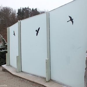 The Entirety of my View of the Tiger Outdoor Enclosure (glass completely frosted over)