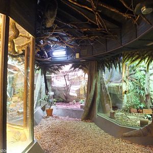 View in the Small Primates/South America Building