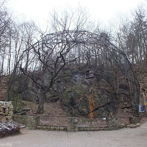 White-tailed Sea-eagle Aviary