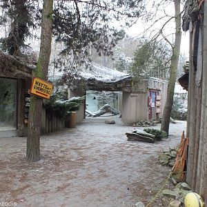 View in the Himalayas Section