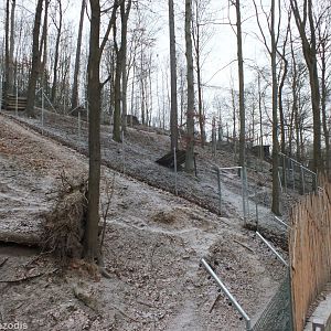 Iberian Wolf Enclosure