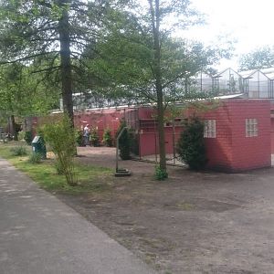 Parrot and Parakeet Aviaries