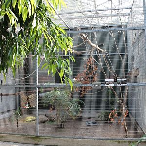 Tamarin - Tortoise - Peacock-pheasant Enclosure