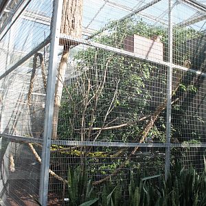 Trumpeter - Tamarin Enclosure