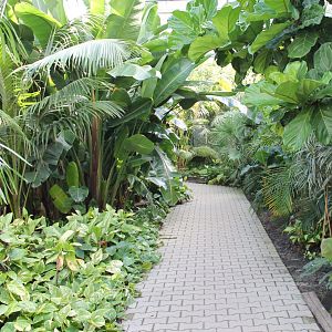 View in the Tropical House