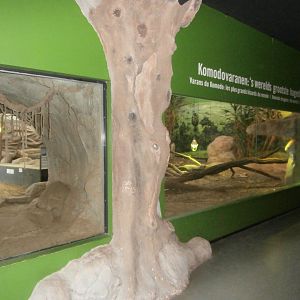 Greek Temple: Komodo dragon enclosure