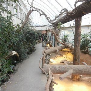 Greek Temple: Winter Garden