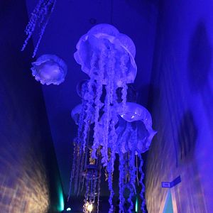 Artificial jellyfish above escalator