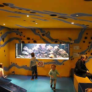 Aquarium at the Playing Area