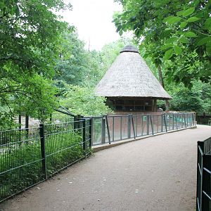 Viewing-point New South-america Enclosure