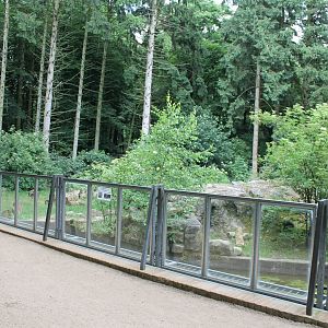 New South-america Eclosure