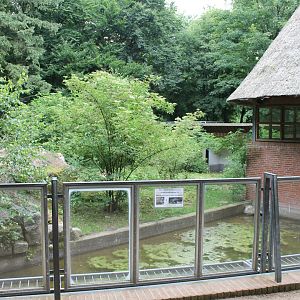 New South-america Enclosure