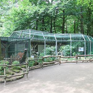 Snowy owl enclosure