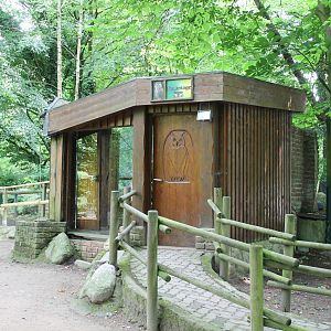 Eurasian eagle-owl Enclosure