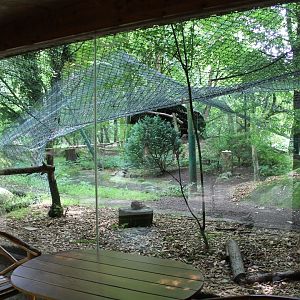 View into European eagle-owl Enclosure