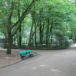 Wolf-enclosure
