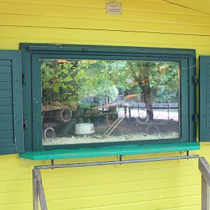 Degu-indoor-enclosure