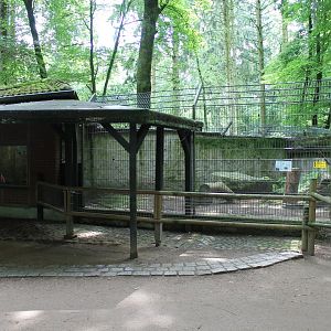 Raccon-dog Enclosure