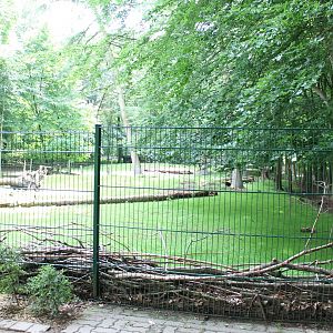 Deer-enclosure