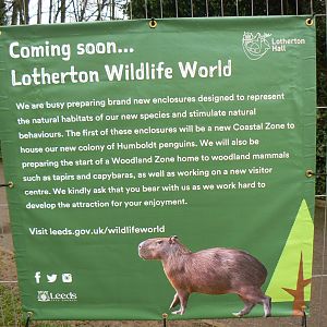 Notice - 28 January 2017