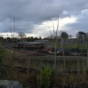 Latest Islands build progress