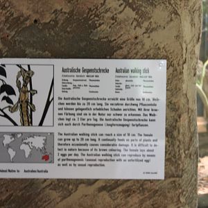 Sign Australian walking stick