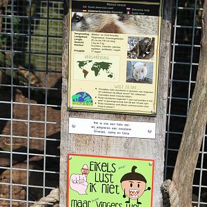 Sign South American coati