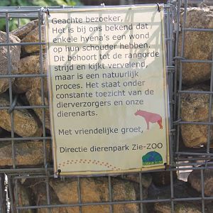 Note about wounded Hyena