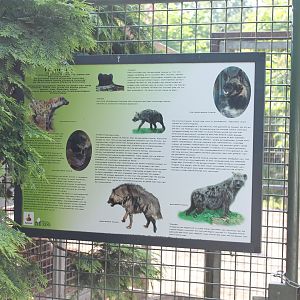 Hyena info-board